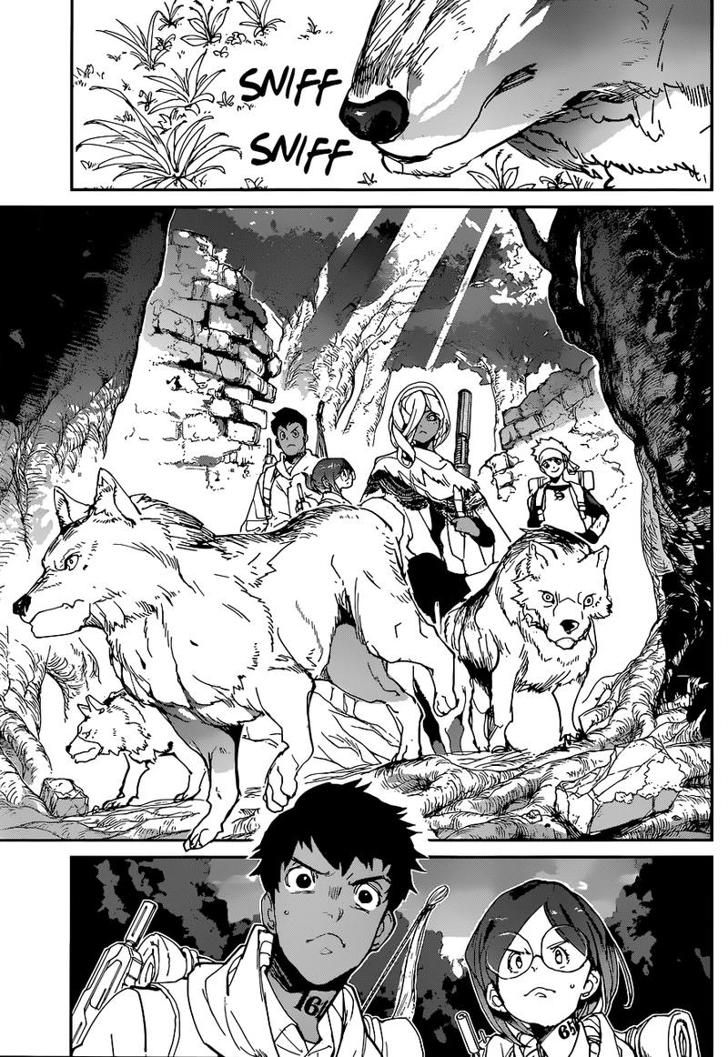 The Promised Neverland 138 6