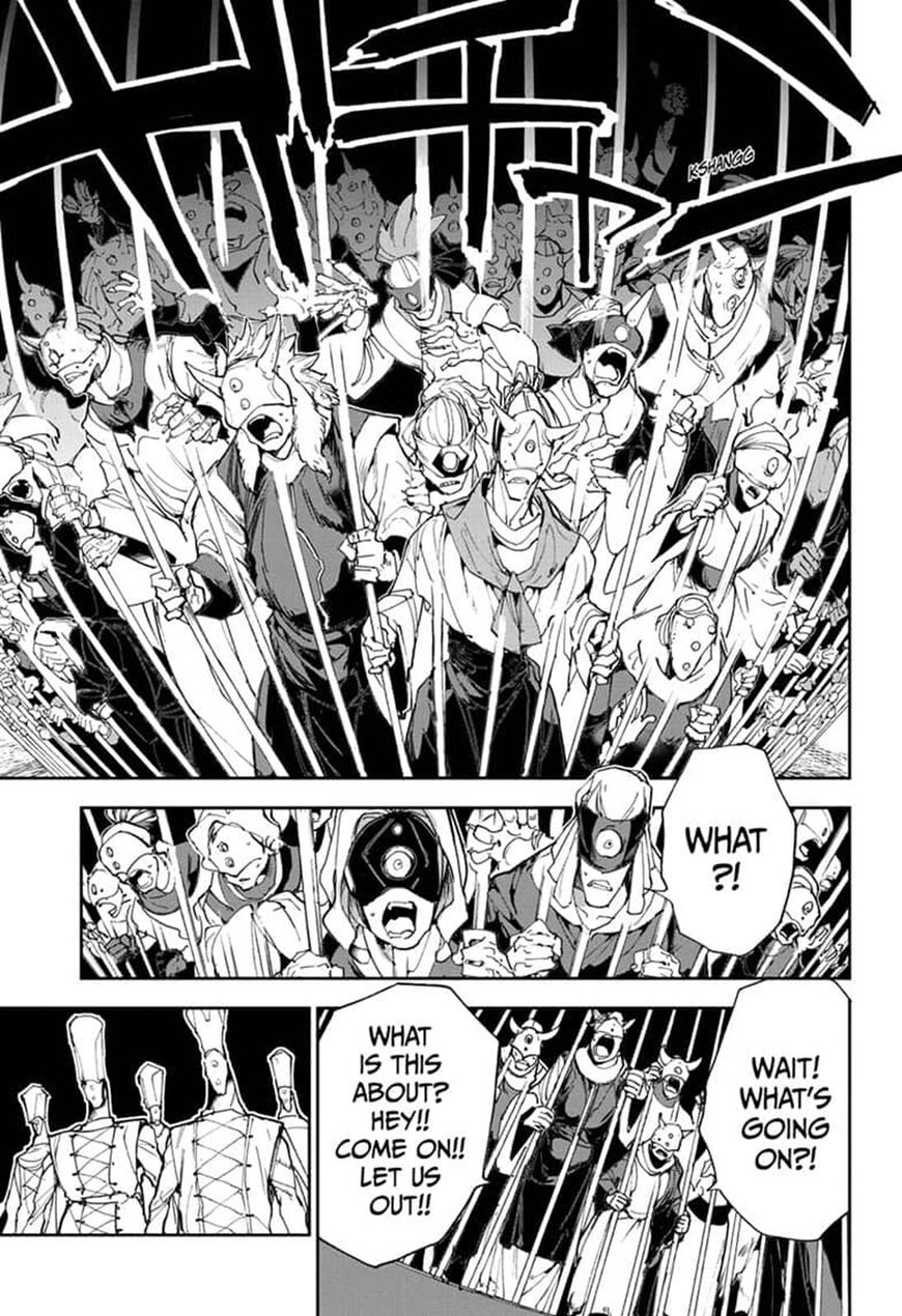 The Promised Neverland 163 13