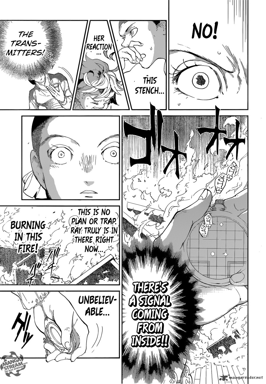 The Promised Neverland 33 7