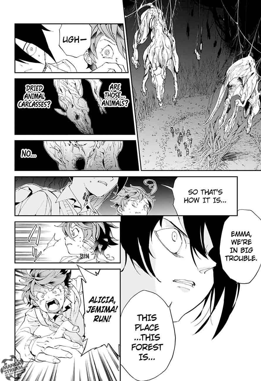 The Promised Neverland 39 13