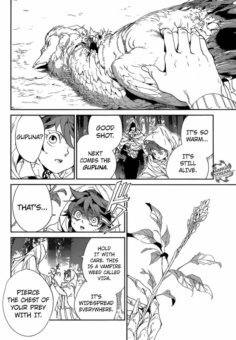 The Promised Neverland 49 14