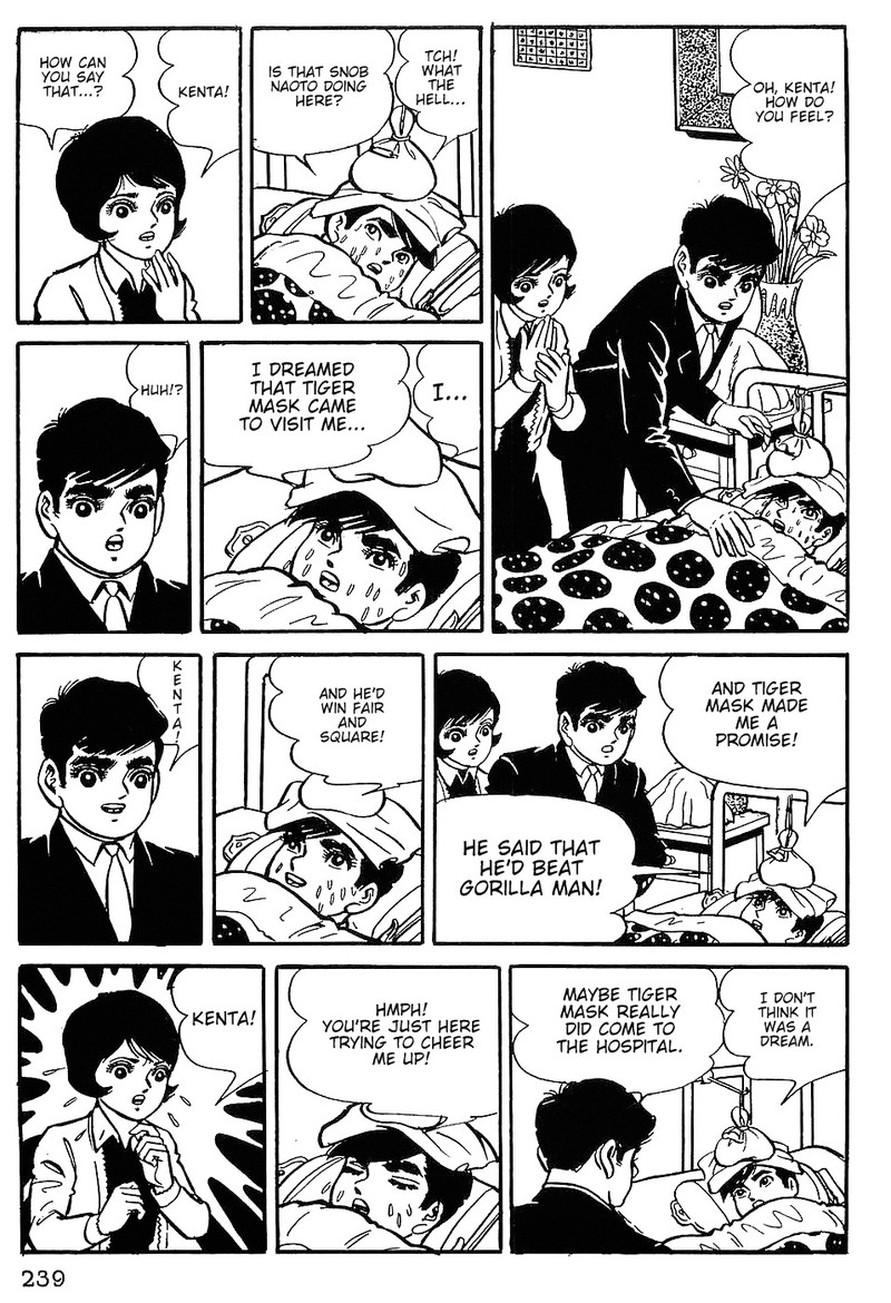 Tiger Mask 10 22