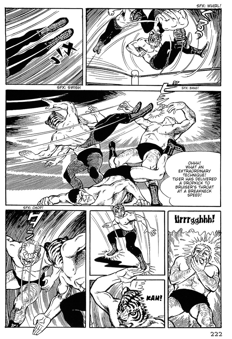 Tiger Mask 10 5