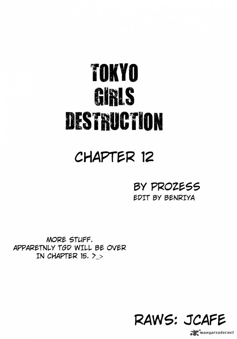 Tokyo Girls Destruction 12 1