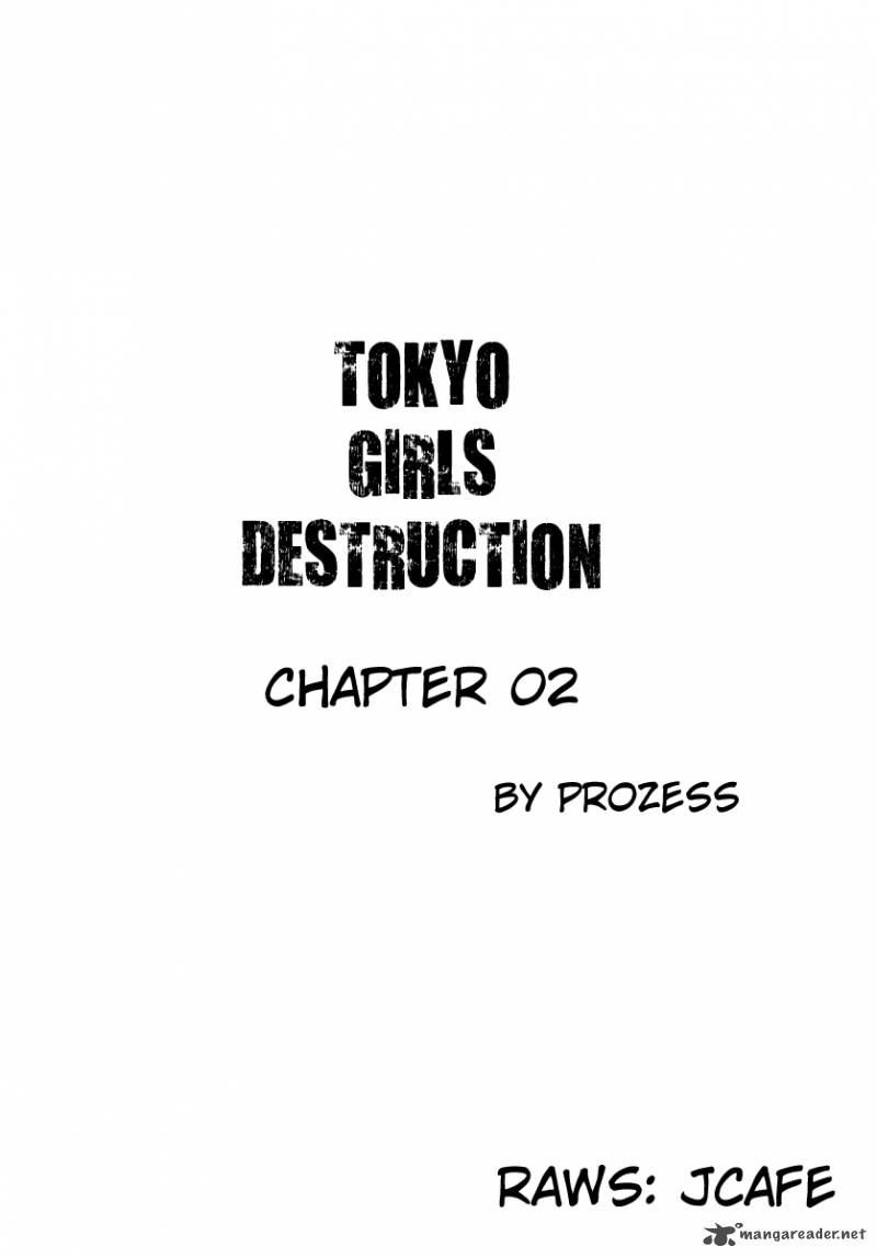 Tokyo Girls Destruction 2 1