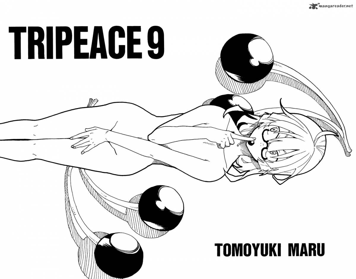 Tripeace 33 3