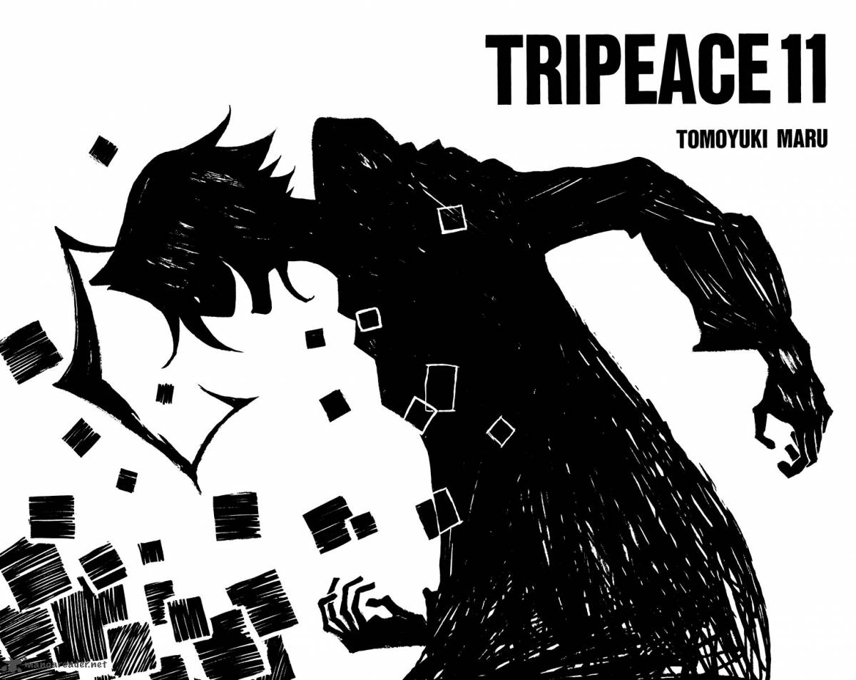 Tripeace 41 3