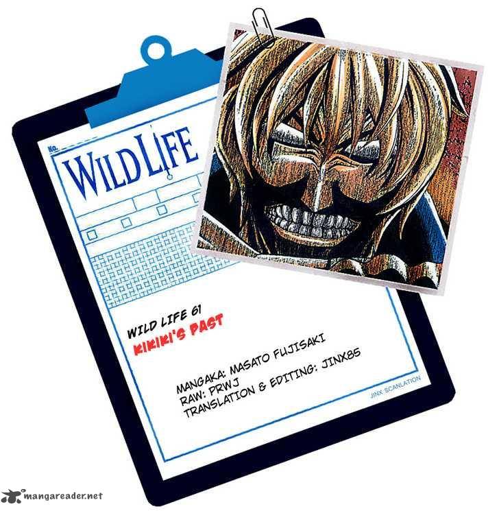 Wild Life 61 25