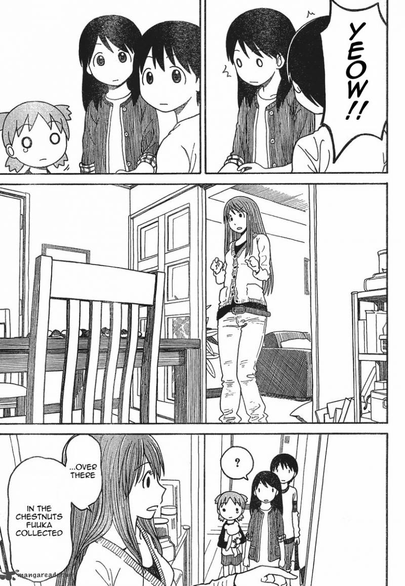 Yotsubato 75 29