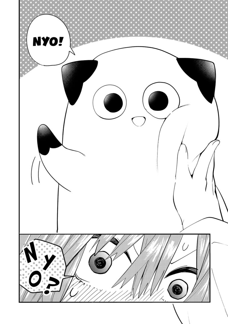 Yumene Connect 22 8