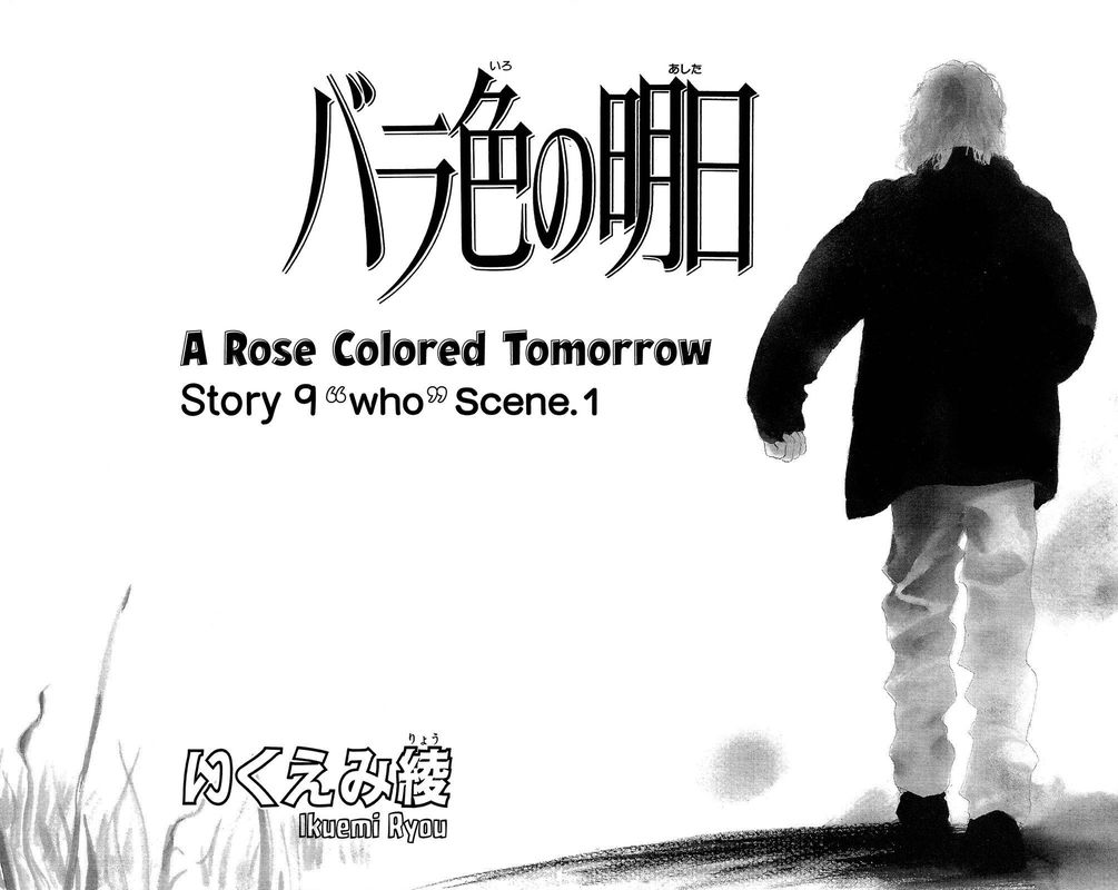 A Rose Colored Tomorrow 13 5