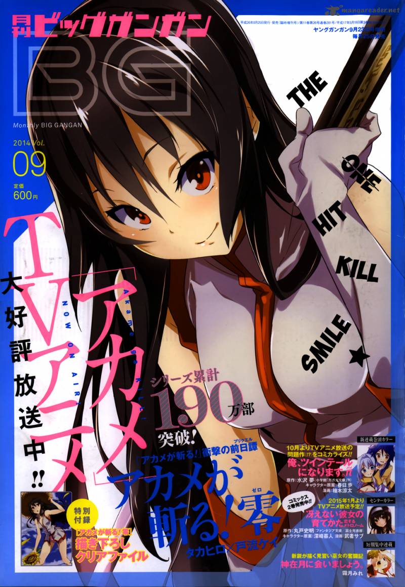 Akame Ga Kill Zero 10 1