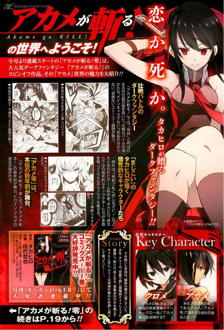 Akame Ga Kiru Zero 1 5