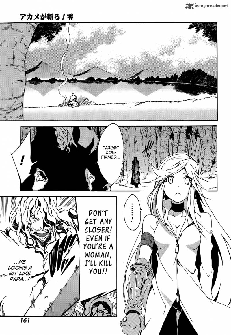 Akame Ga Kiru Zero 3 16