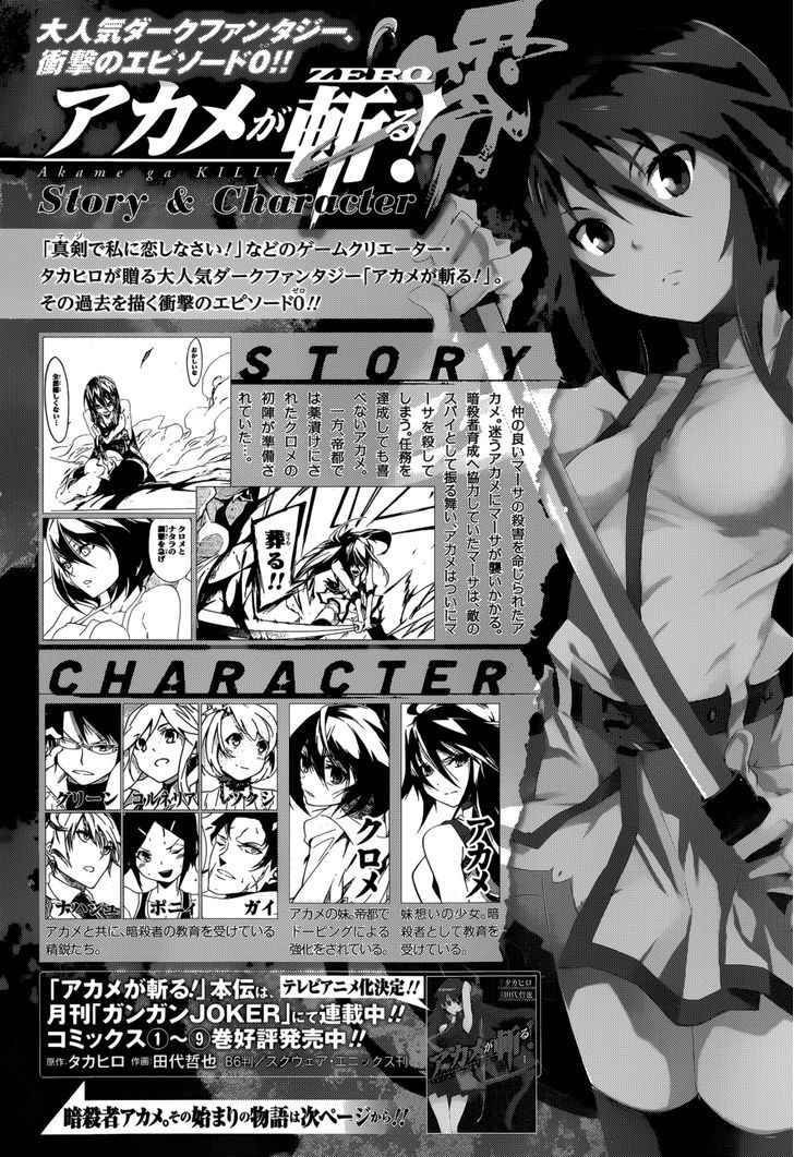 Akame Ga Kiru Zero 5 2