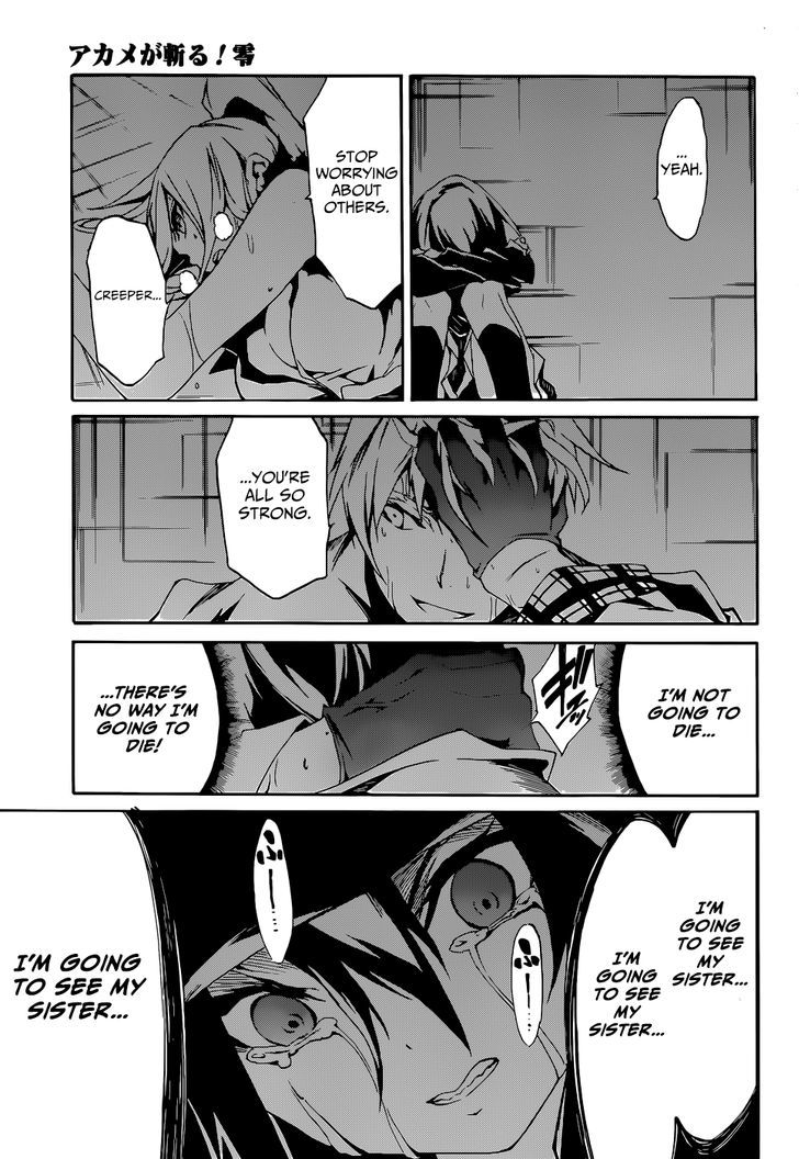 Akame Ga Kiru Zero 5 33