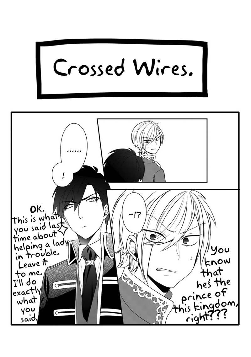 Akuyaku Reijou No Tsuihougo 11 32