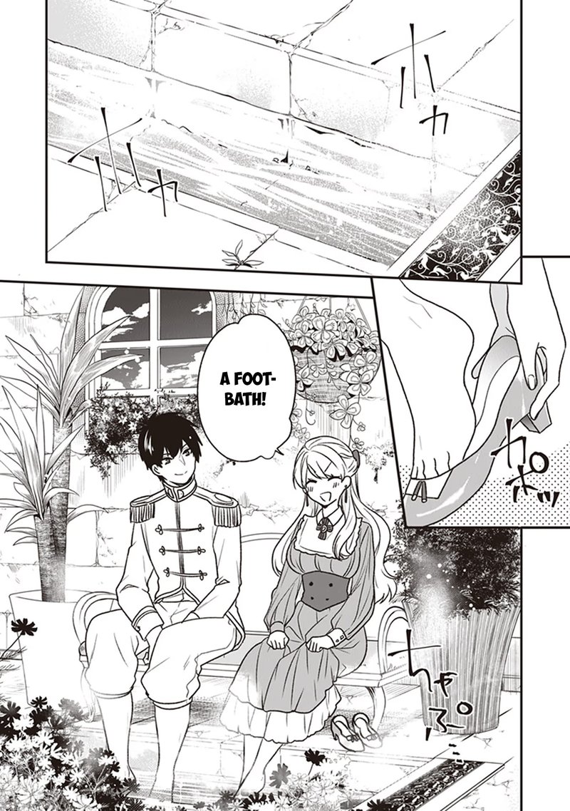 Akuyaku Reijou No Tsuihougo 19 25