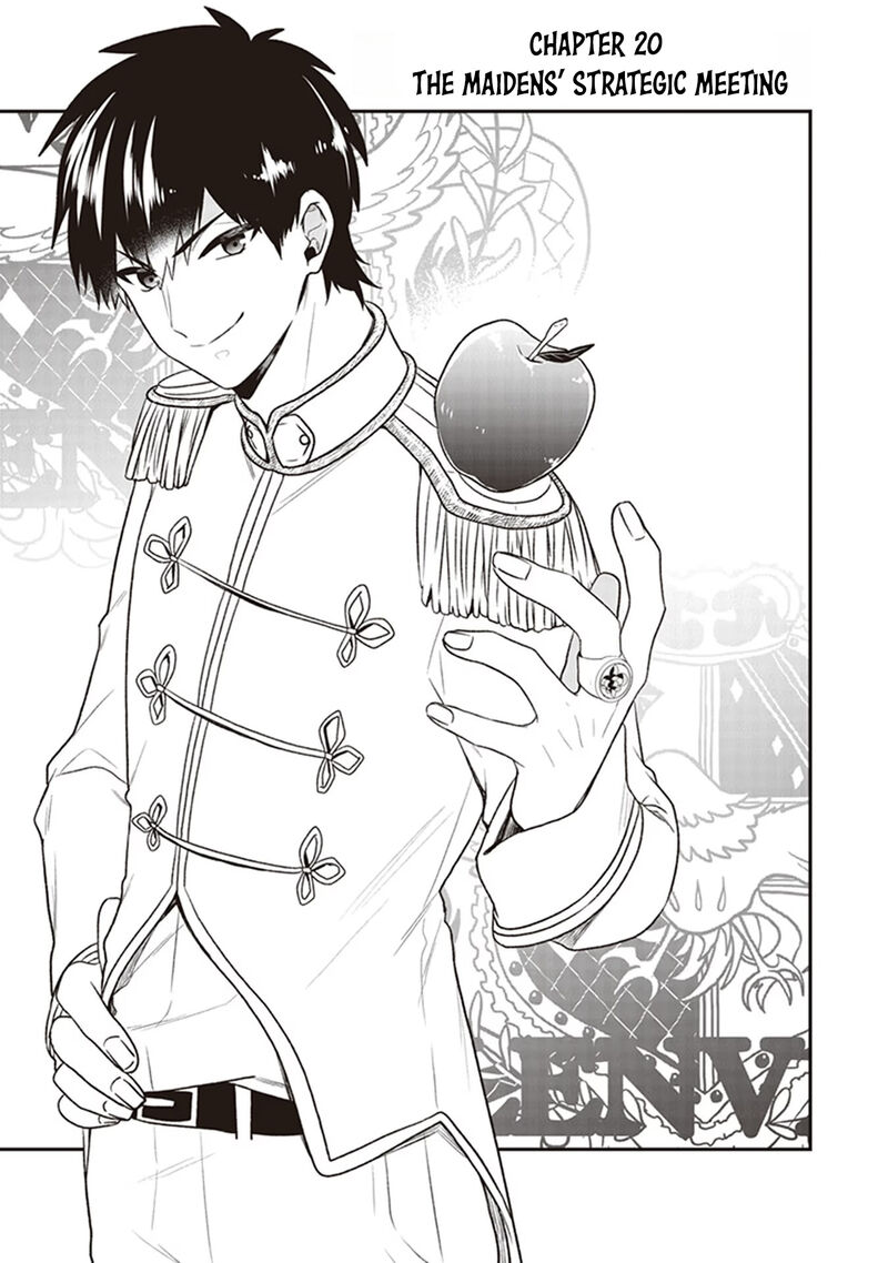Akuyaku Reijou No Tsuihougo 20 1