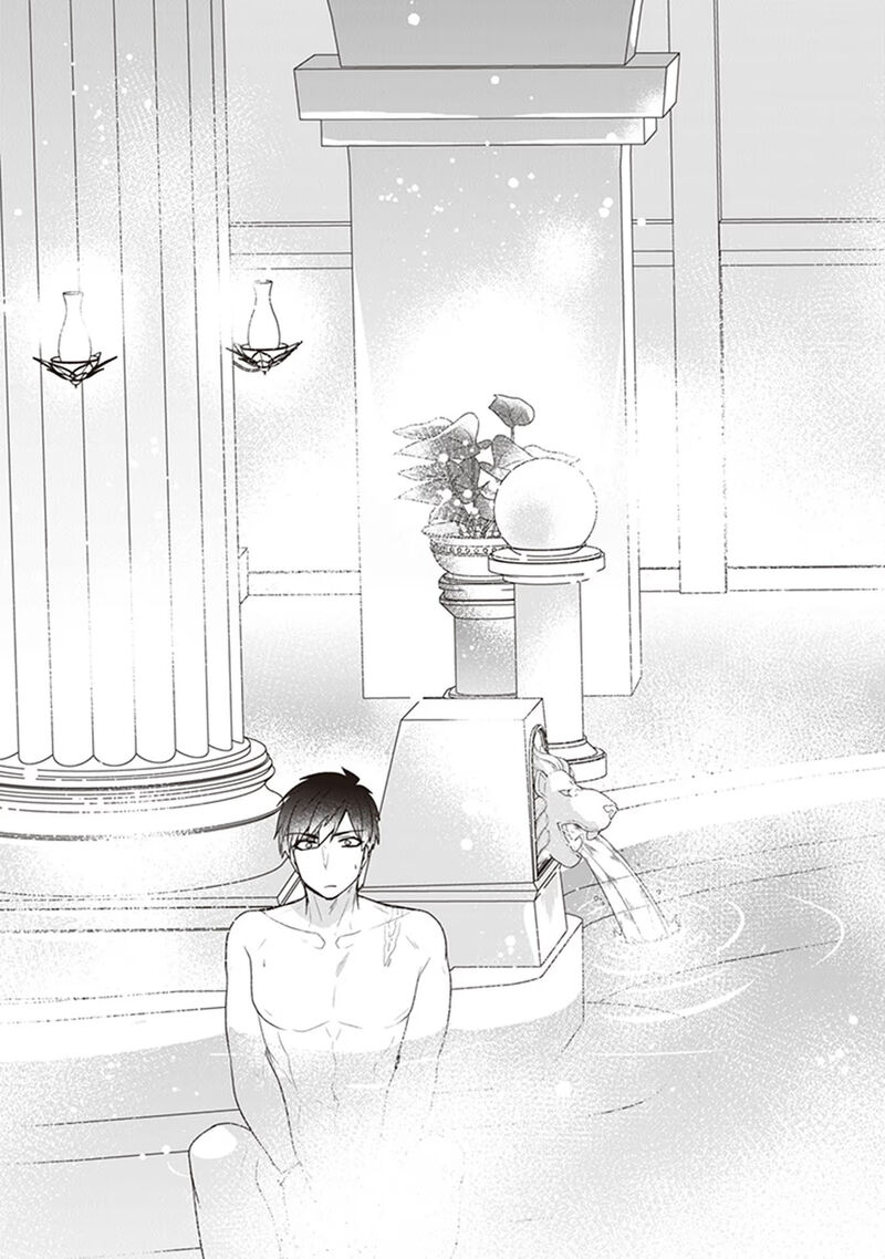 Akuyaku Reijou No Tsuihougo 20 33