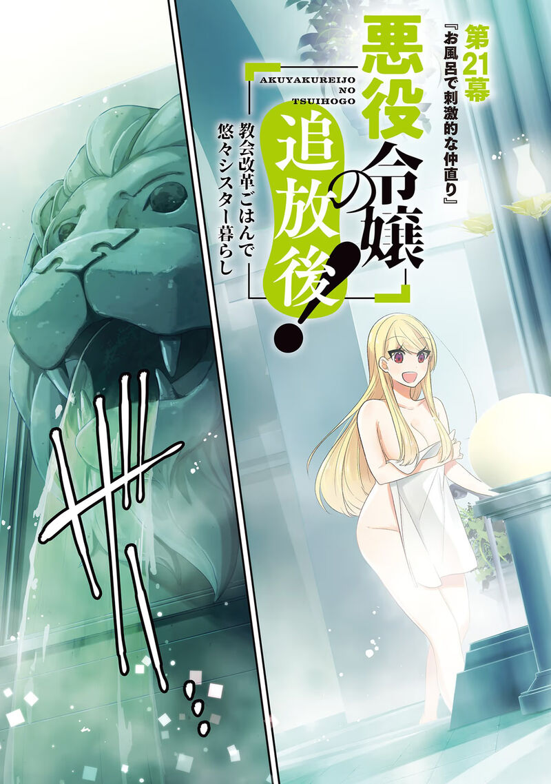 Akuyaku Reijou No Tsuihougo 21 3