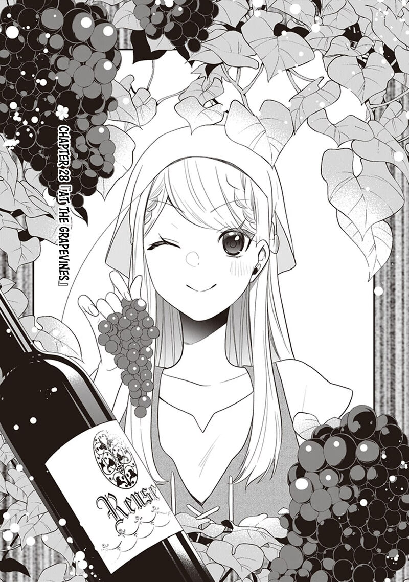 Akuyaku Reijou No Tsuihougo 28 1