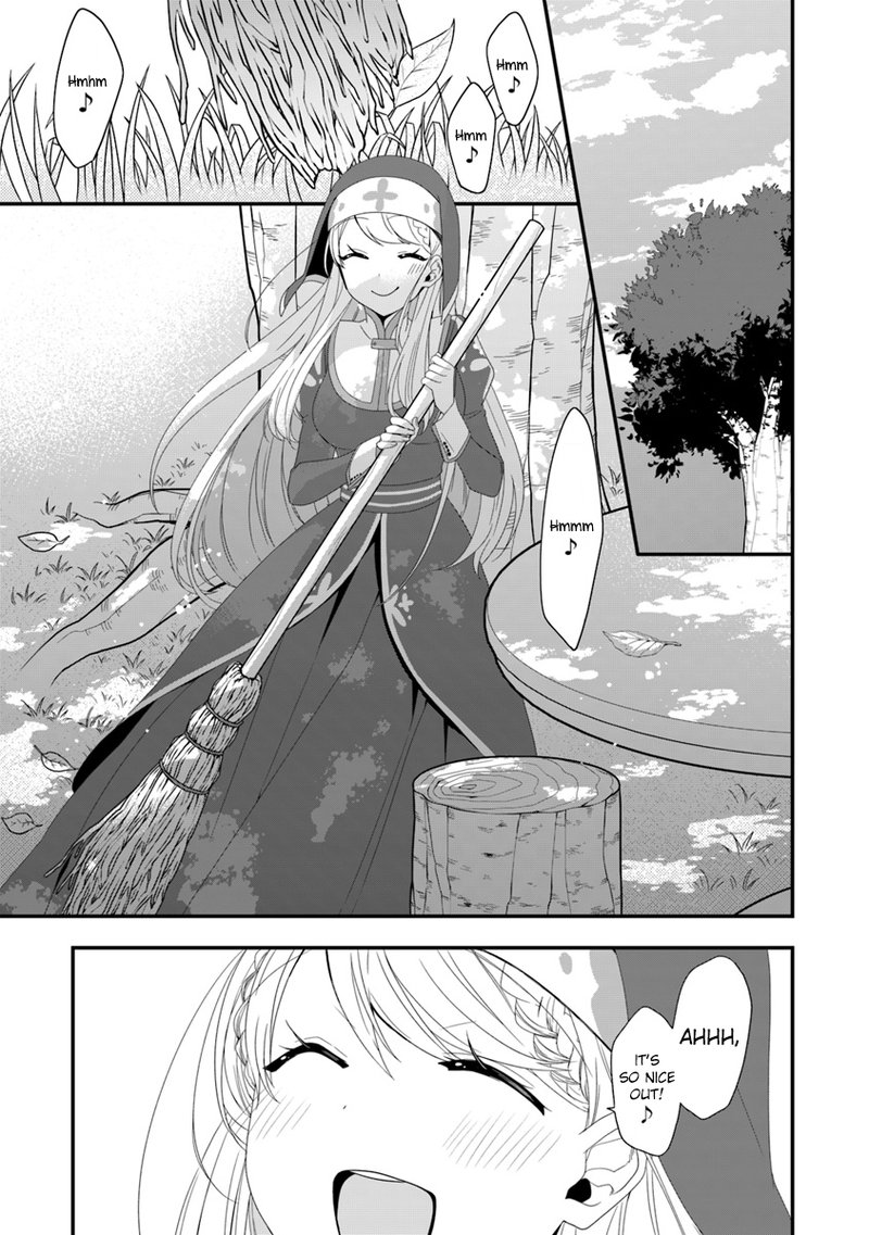Akuyaku Reijou No Tsuihougo 9 5
