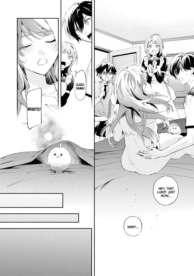 Akuyaku Reijou To Akuyaku Reisoku Ga Deatte Koi Ni Ochitanara 19 33