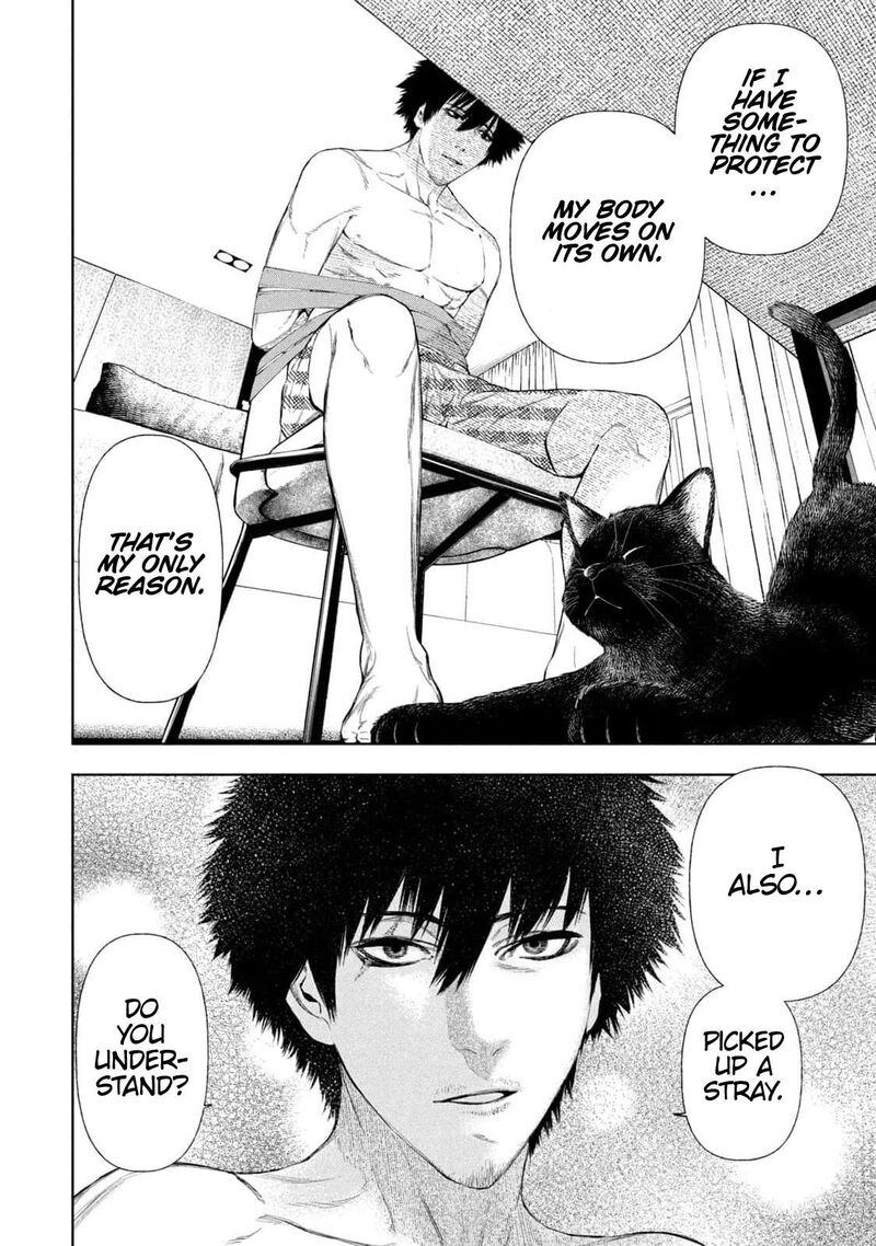 Amateur Vigilante 11 16