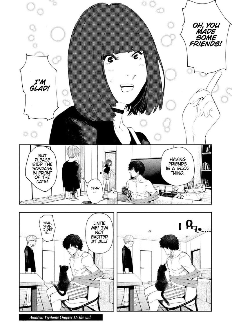 Amateur Vigilante 11 20