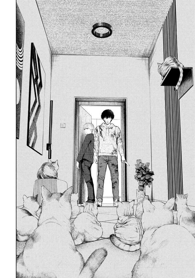 Amateur Vigilante 11 4