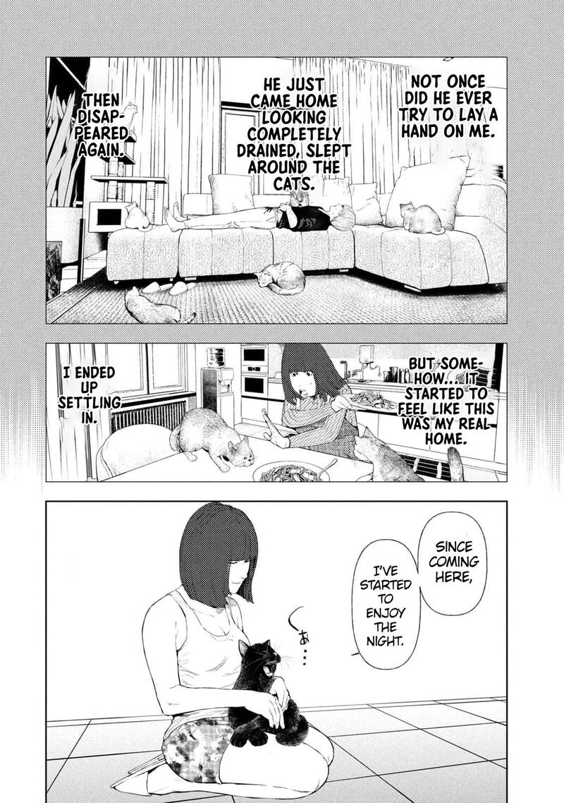 Amateur Vigilante 13 12