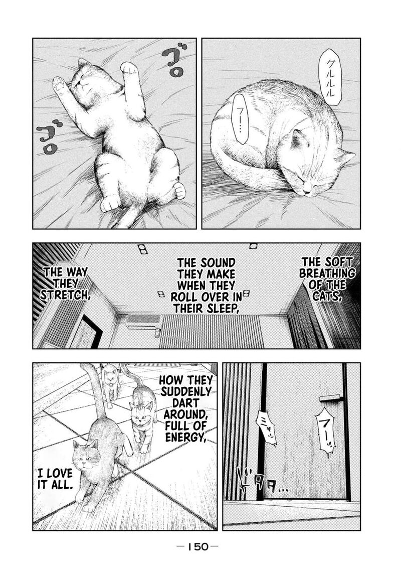 Amateur Vigilante 13 2