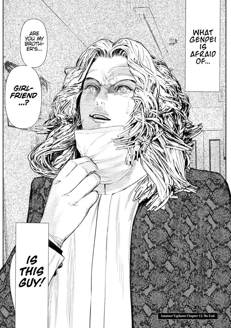 Amateur Vigilante 13 20