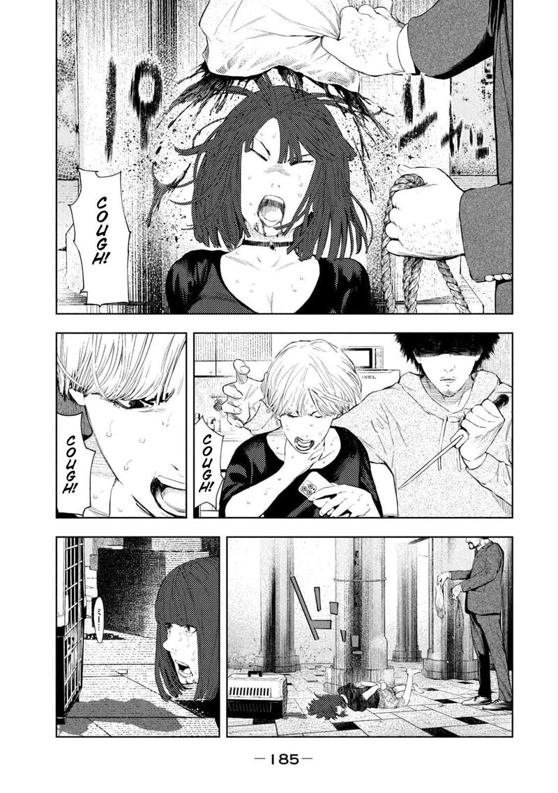 Amateur Vigilante 14 17