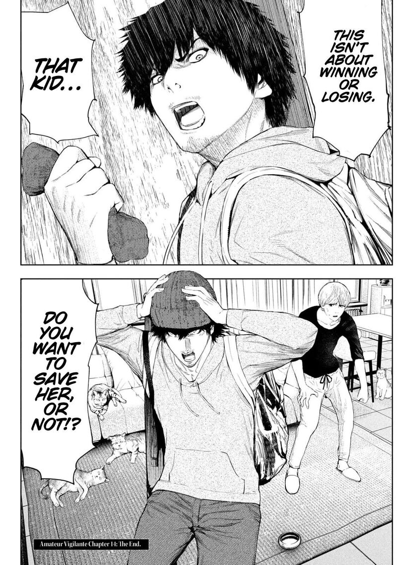 Amateur Vigilante 14 20