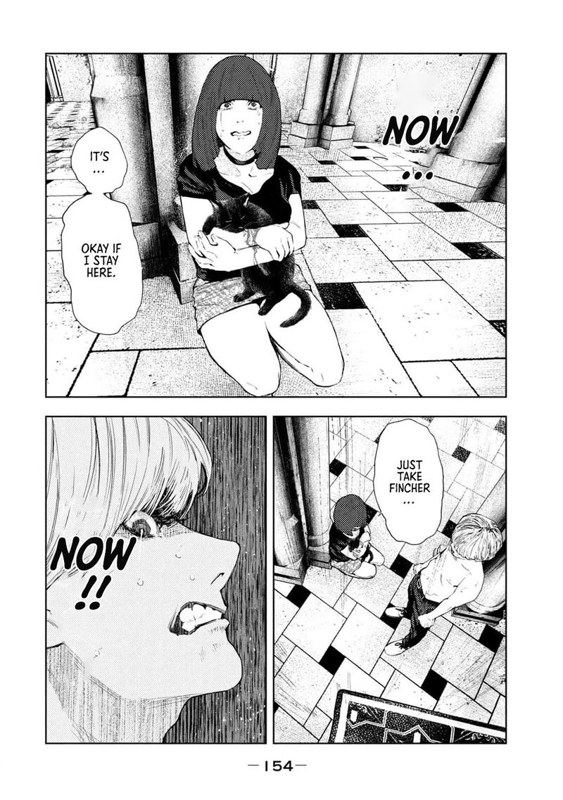 Amateur Vigilante 22 10