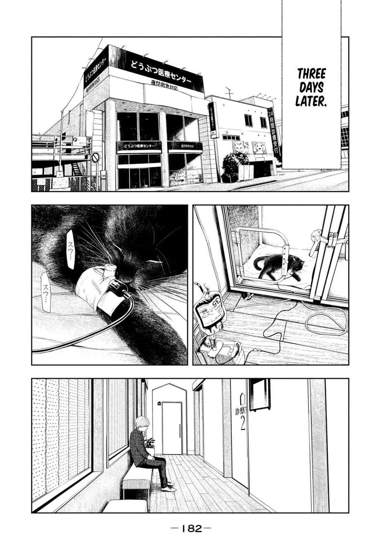 Amateur Vigilante 23 15