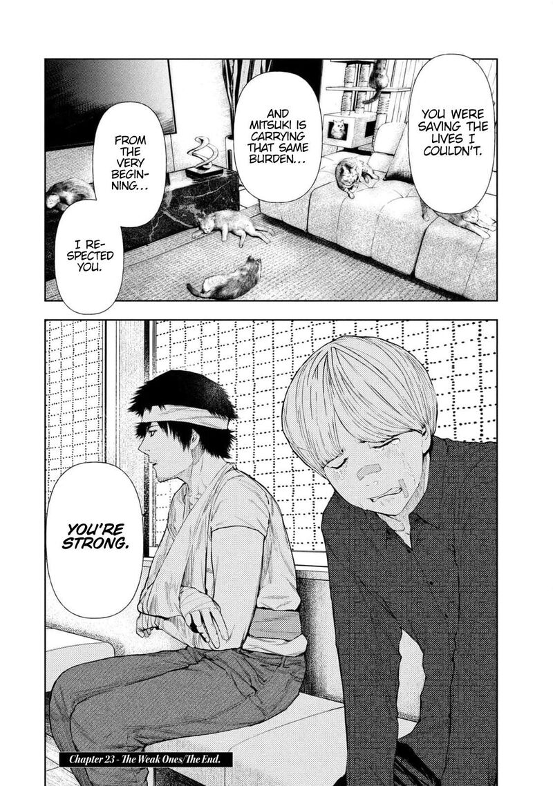 Amateur Vigilante 23 21