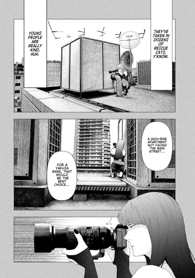 Amateur Vigilante 55 4