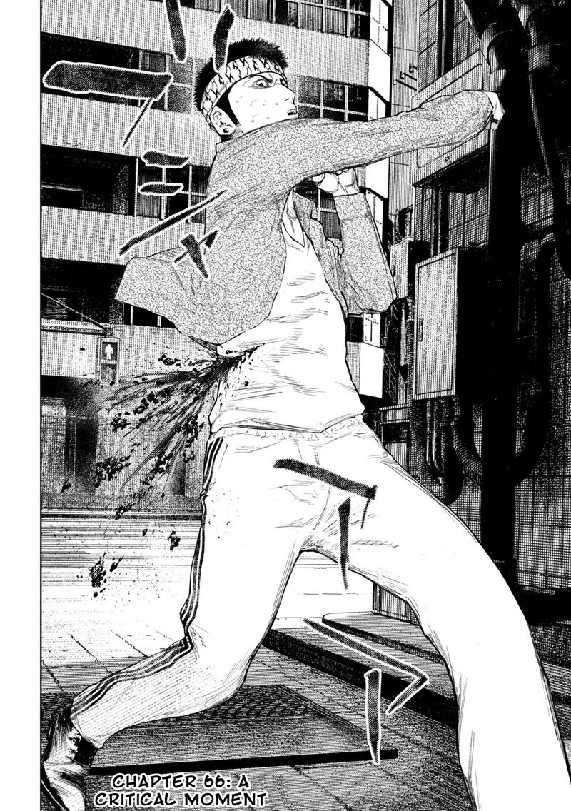 Amateur Vigilante 66 6