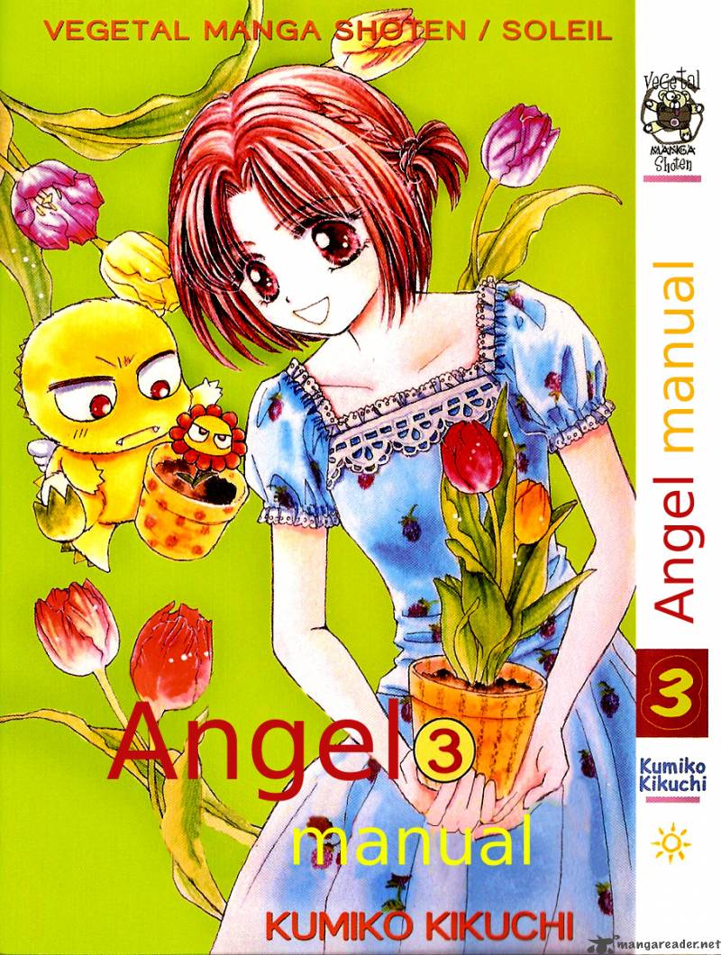 Angel Manual 10 3
