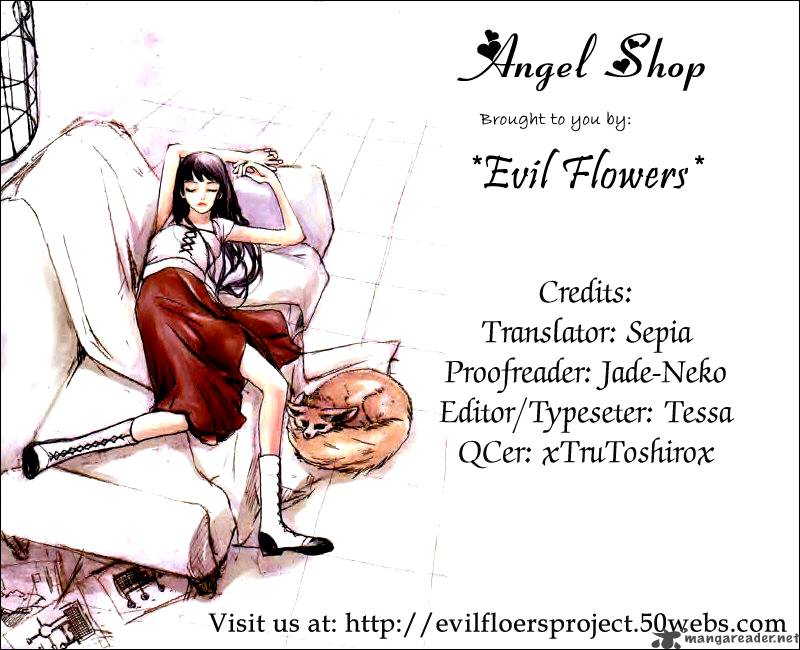 Angel Shop 5 3