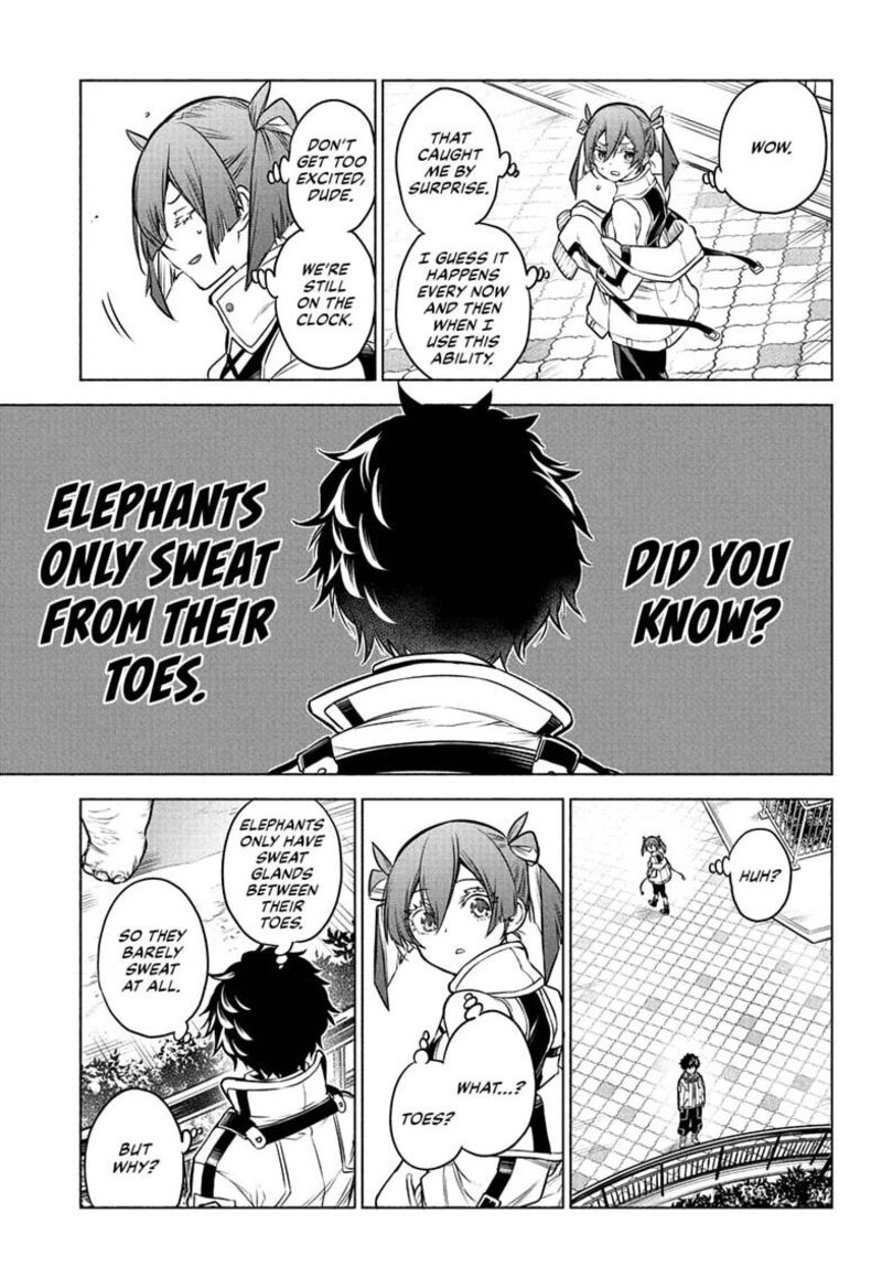 Animal Signal 1 13