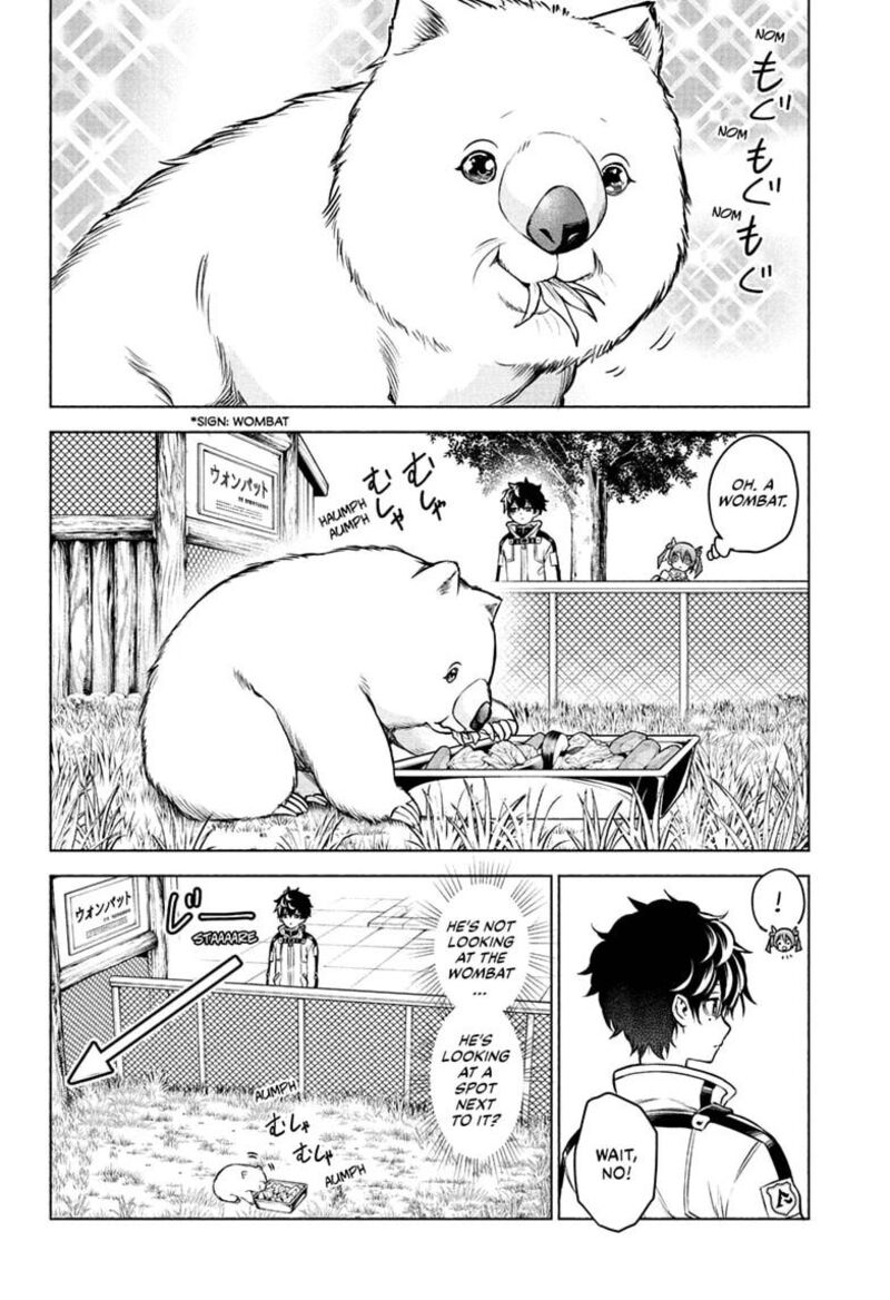 Animal Signal 1 20