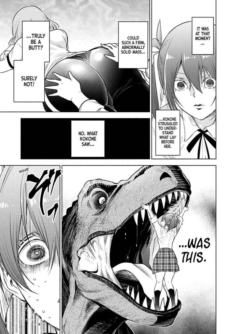 Animal Signal 12 9