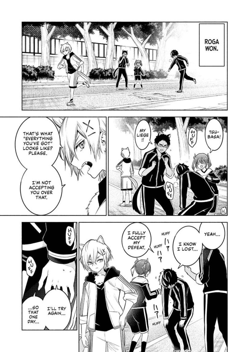 Animal Signal 14 17