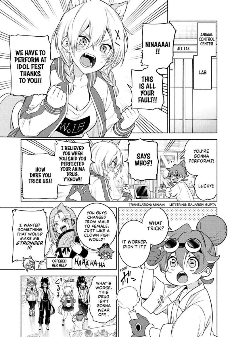 Animal Signal 16 3