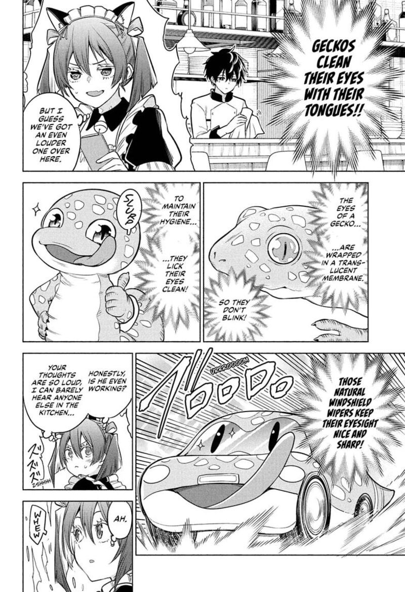 Animal Signal 4 12