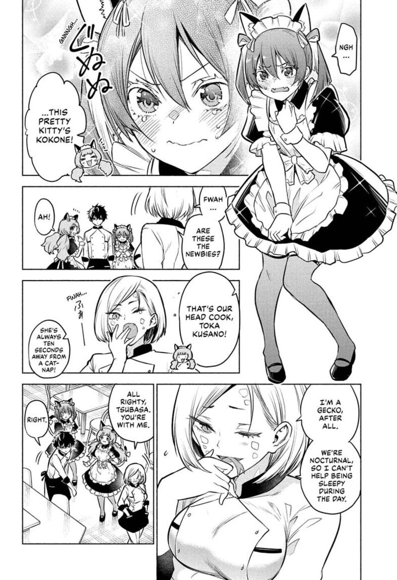 Animal Signal 4 6